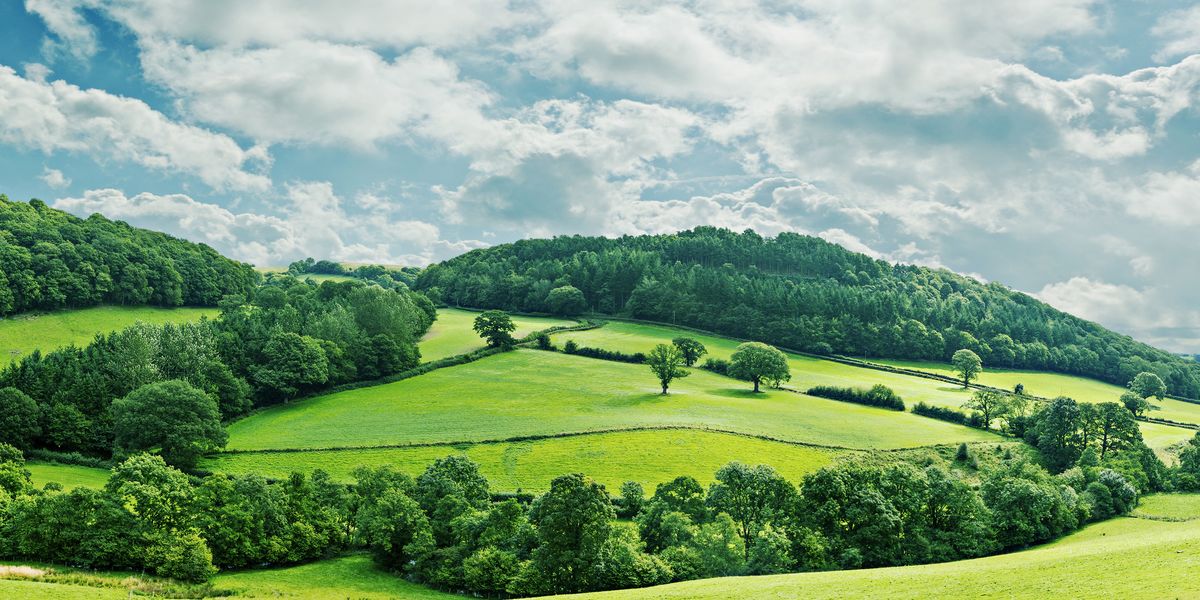 Countryside with rolling wooded hills and a dappled cloudy sky
