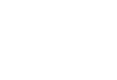 Connexus solid white stacked logo