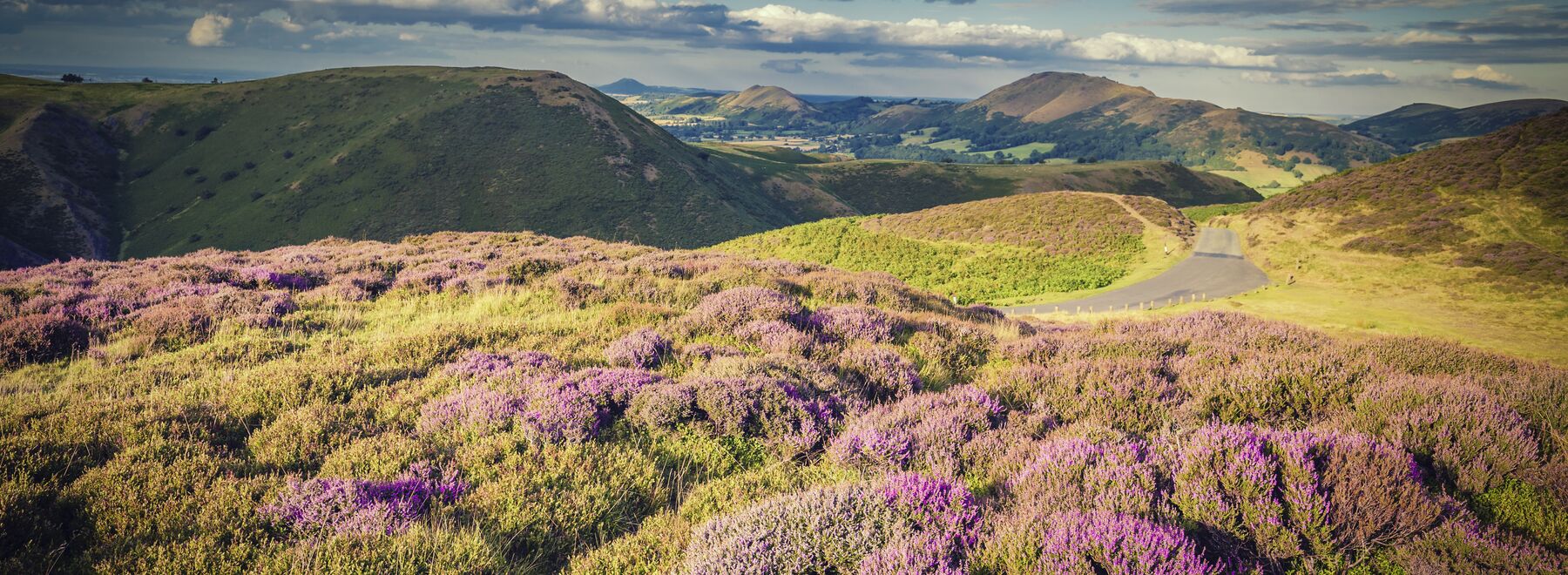 Long Mynd