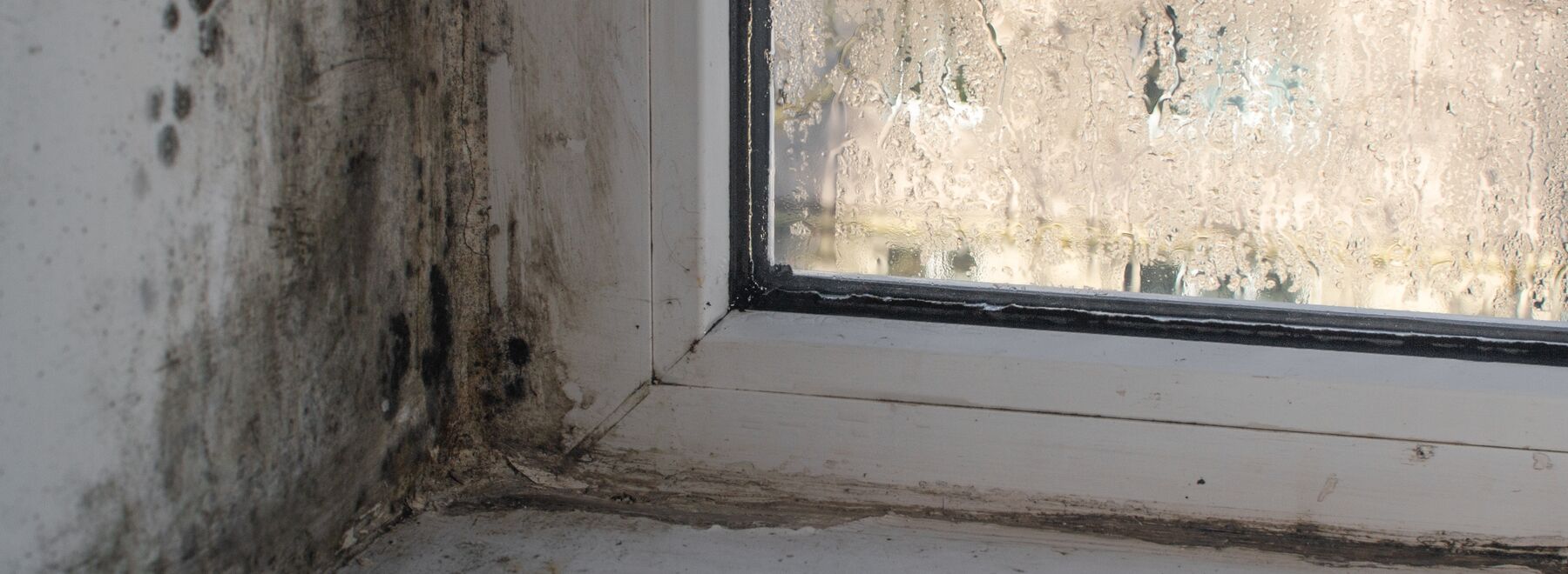 A damp and mouldy windowsill