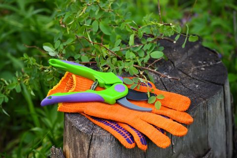 Gardening gloves