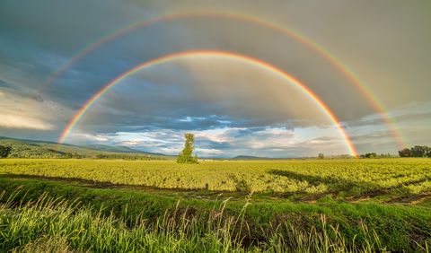 PRIDE rainbow