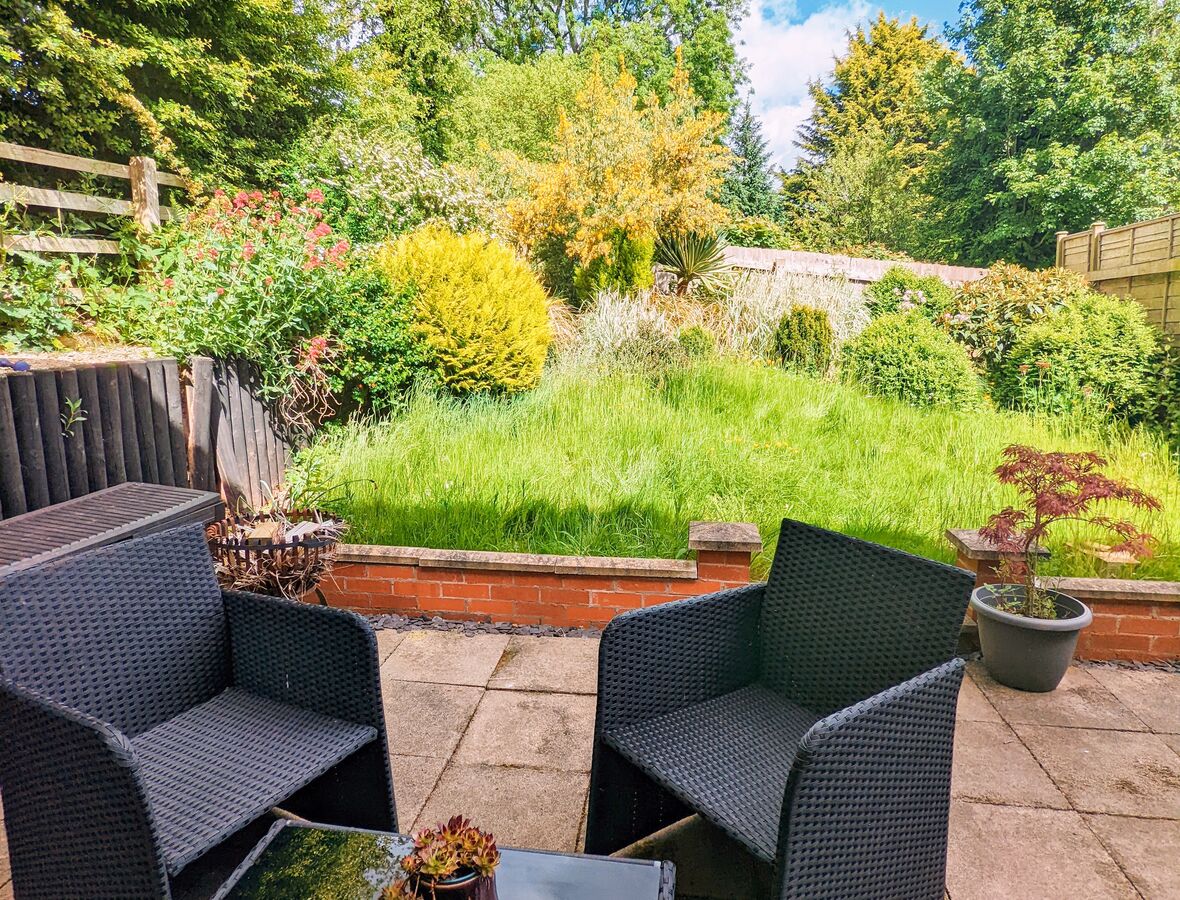 garden 1