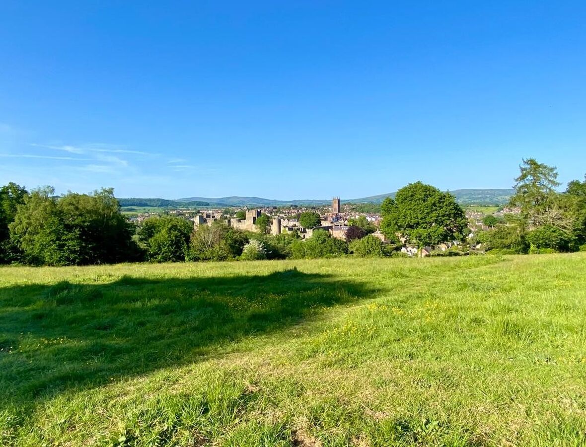 Overlooking Ludlow
