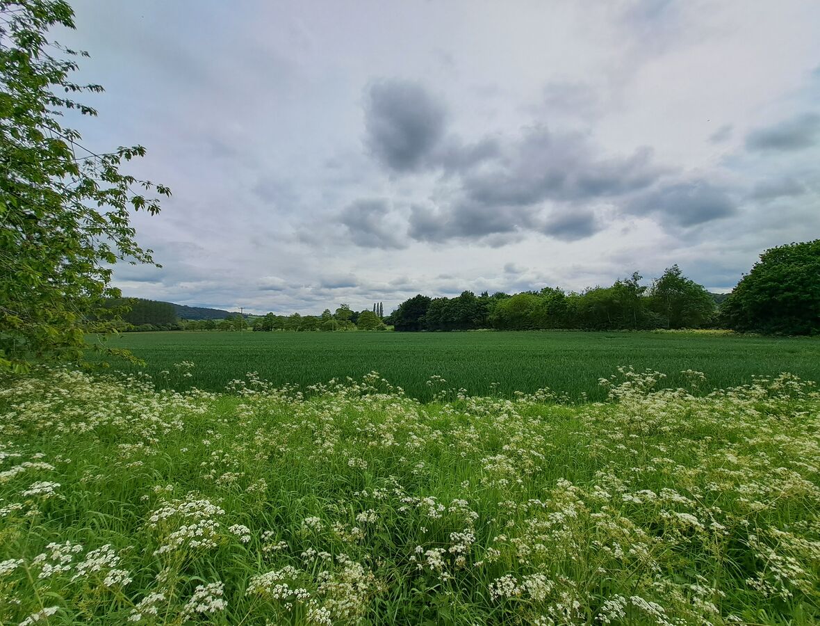 View from communal grounds