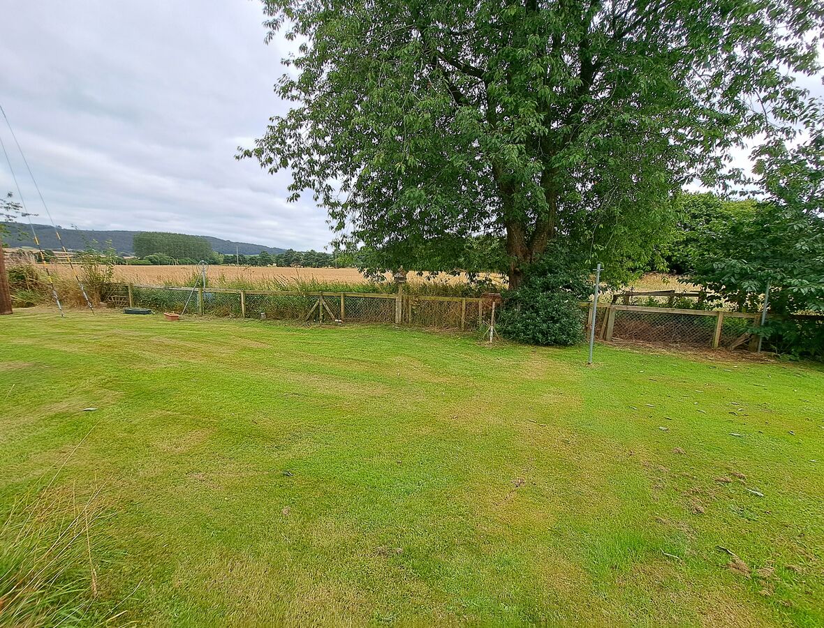 Communal rear garden