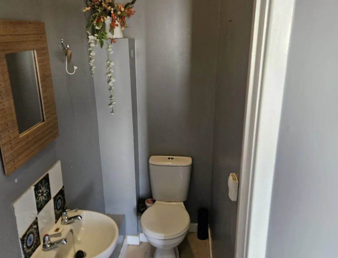 Downstairs wc