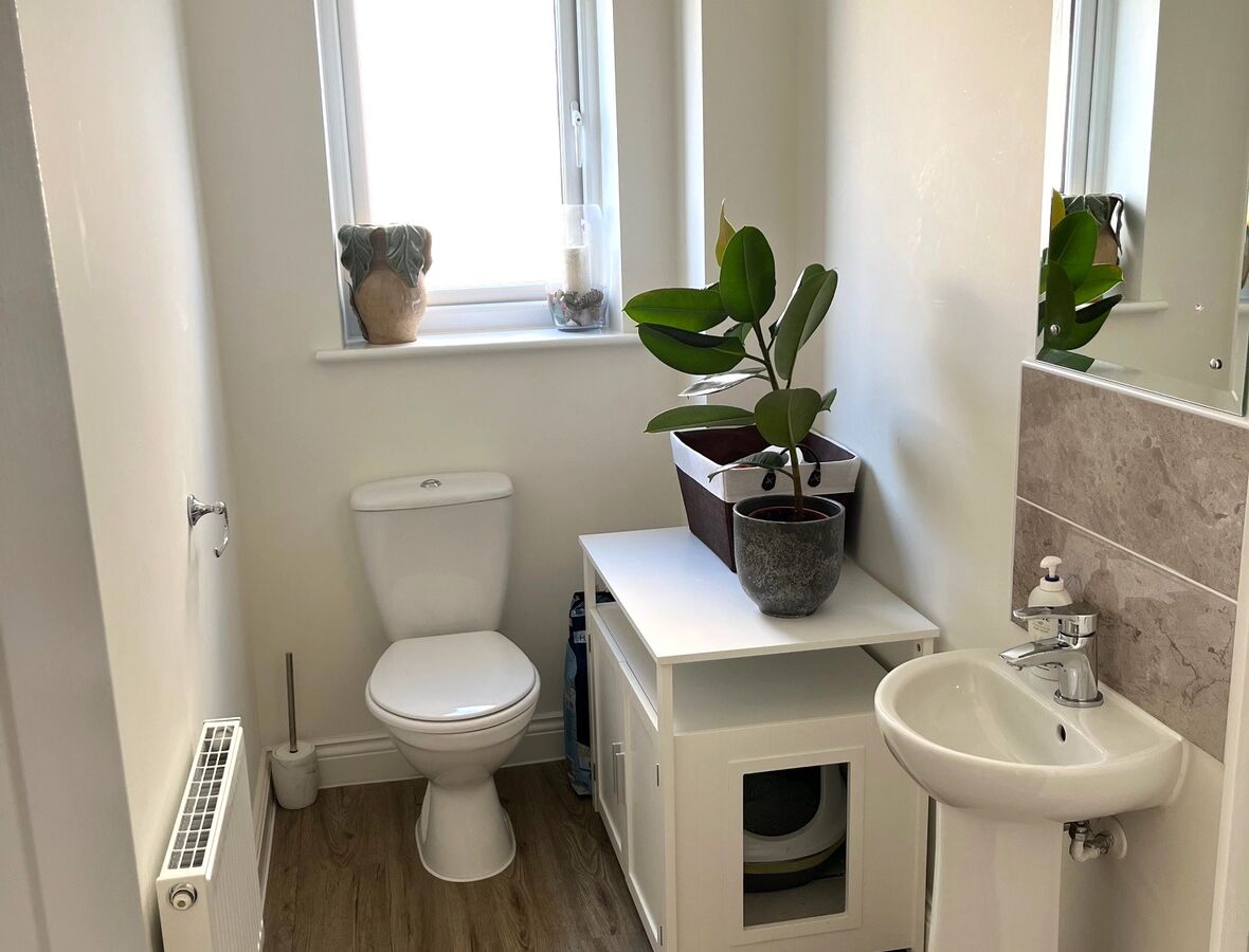 downstairs wc