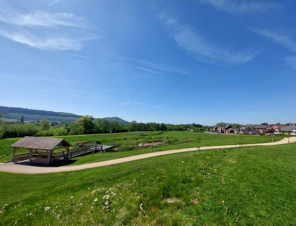 Local Area