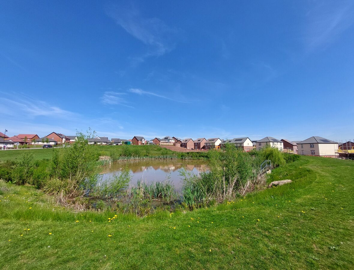 Local Area
