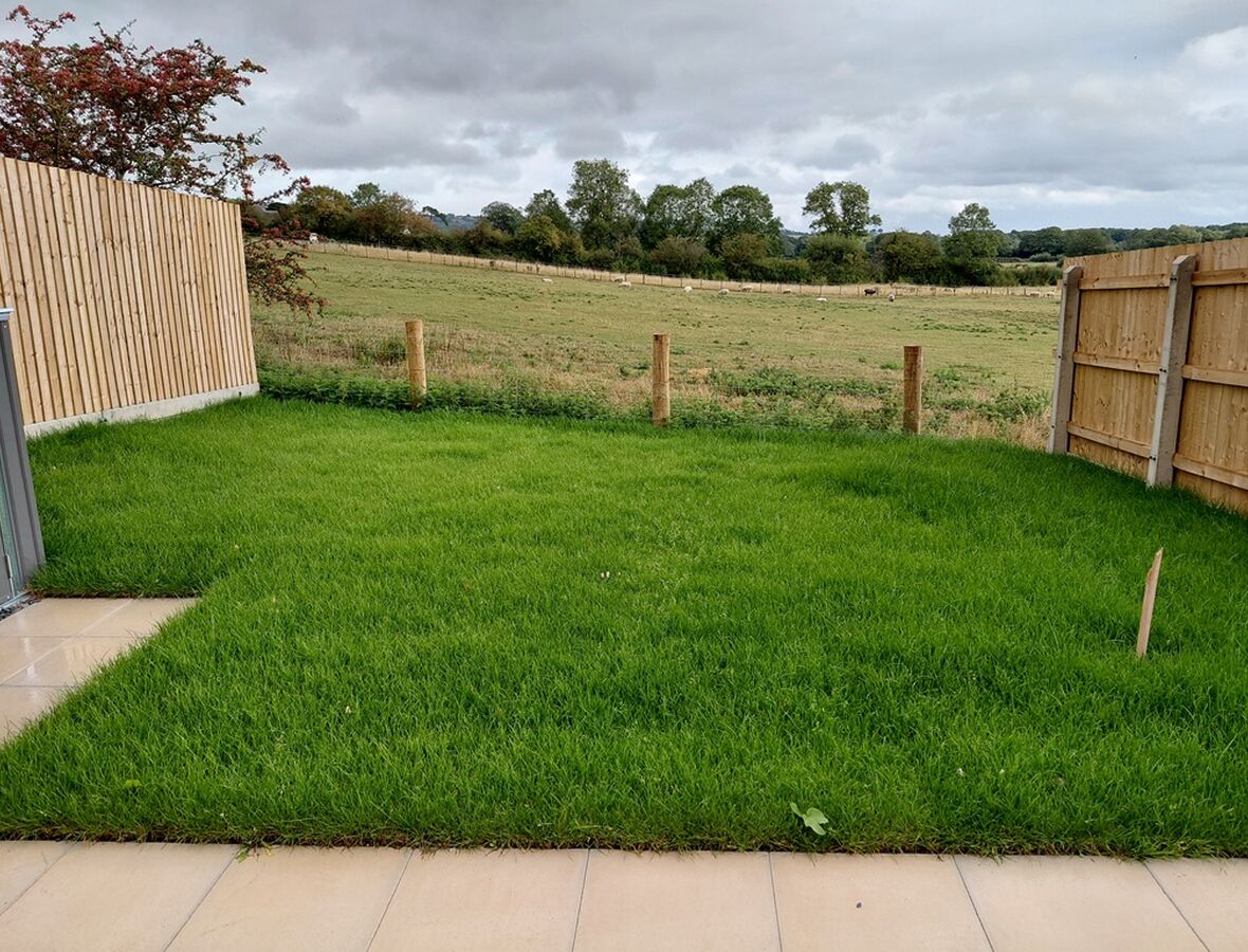 Typical Garden