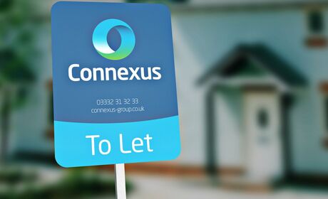 Connexus Board