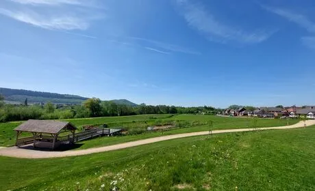 Local Area