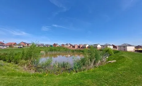 Local Area