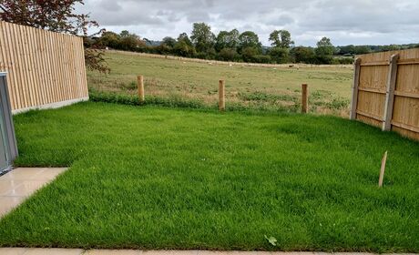 Typical Garden