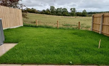 Typical Garden