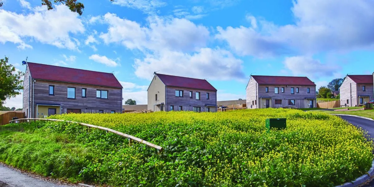 Homes next to wild flowers at Callaughtons Ash