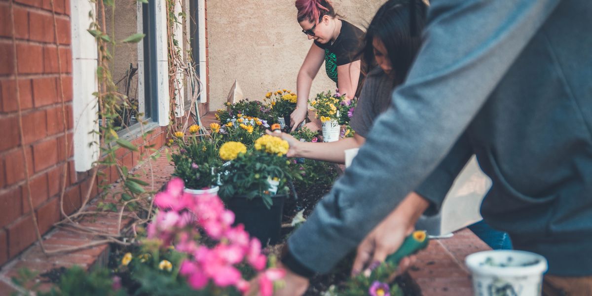 Gardeners working together on a flower bed