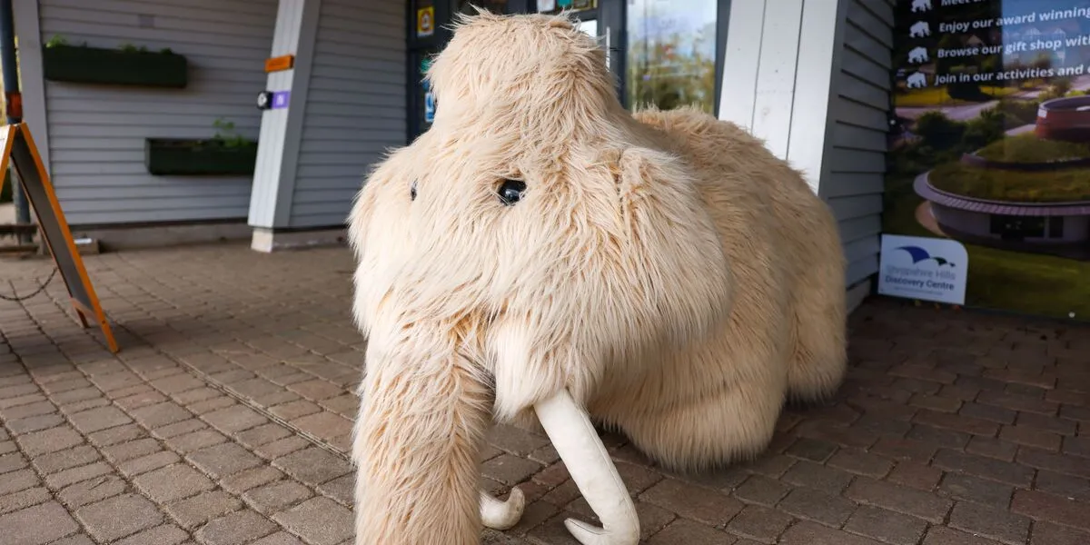 Shropshire Hills Discovery Centre