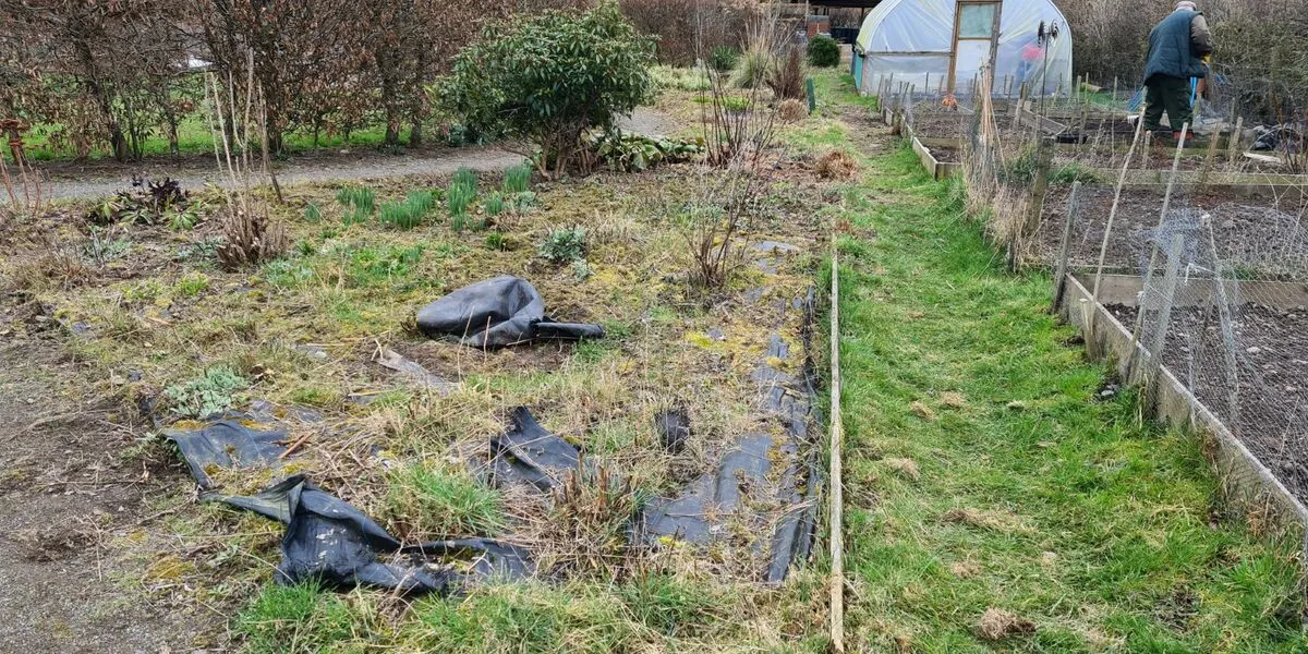 The site before the makeover