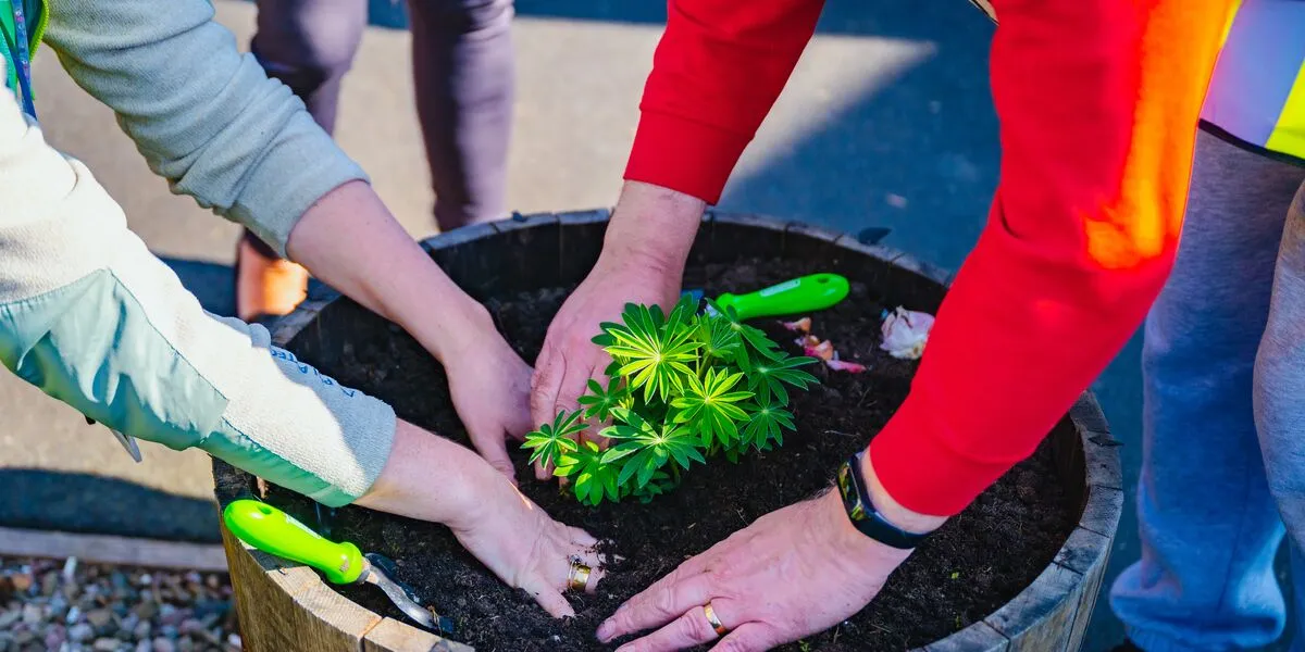Big Spring Thing Henffordd (37) hands potting