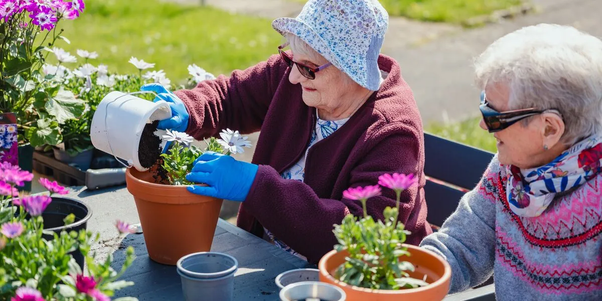 Spring spruce up