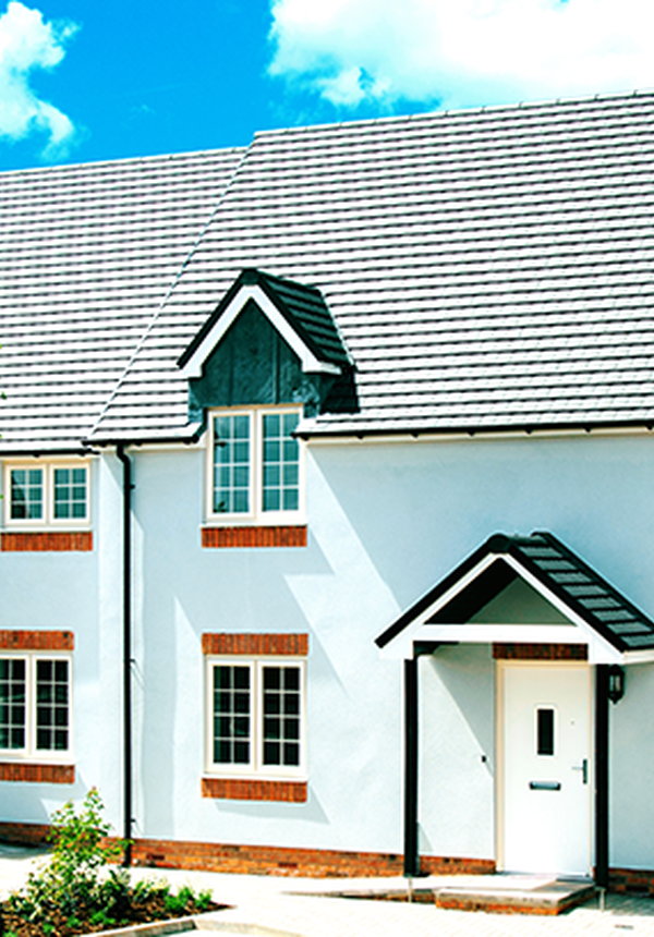 white houses