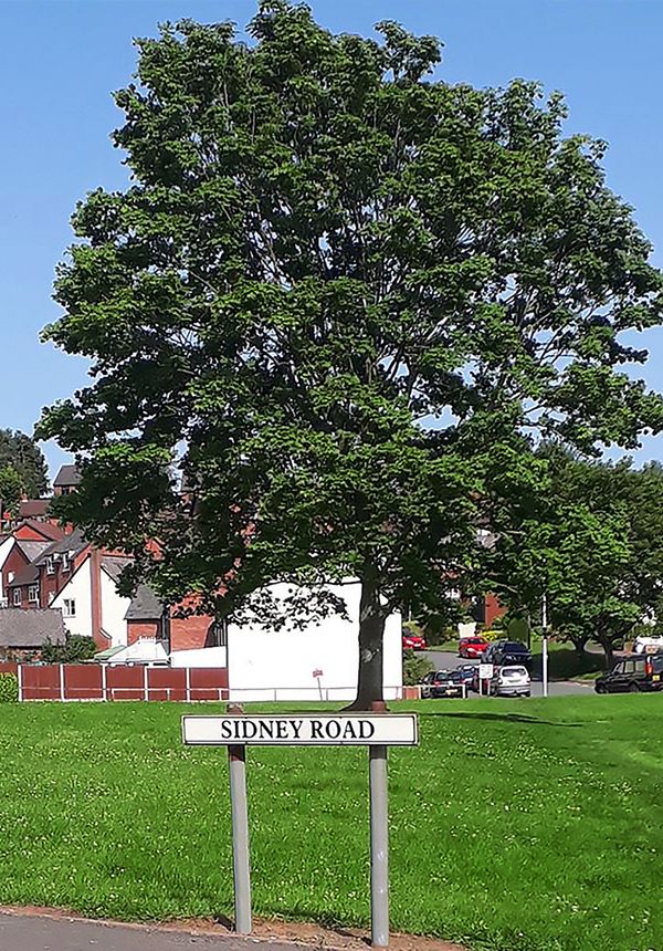 Sidney Road green