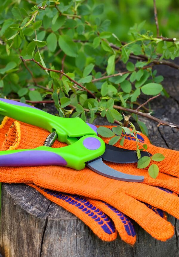 Gardening gloves