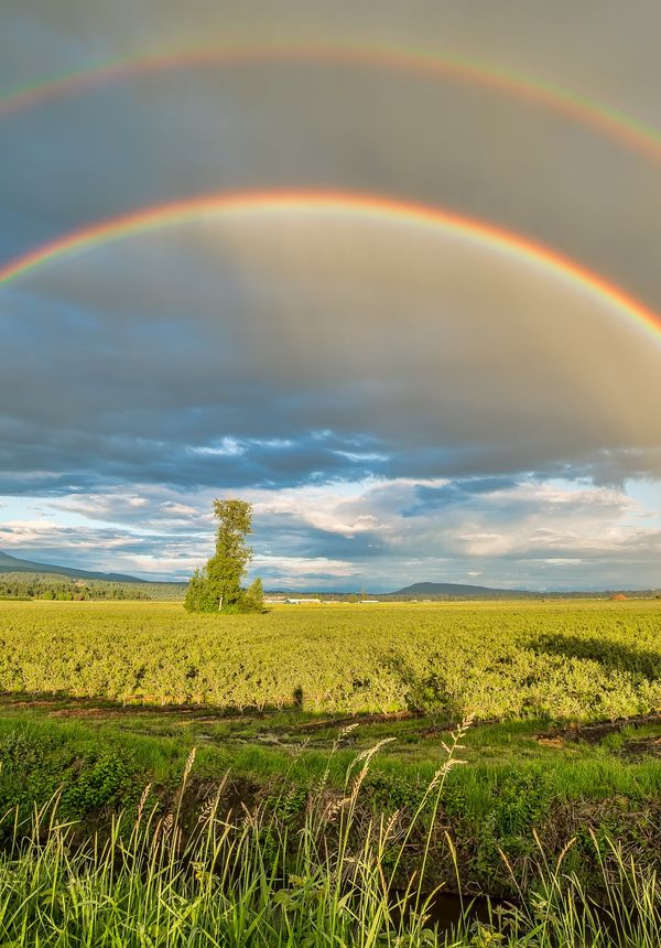 PRIDE rainbow