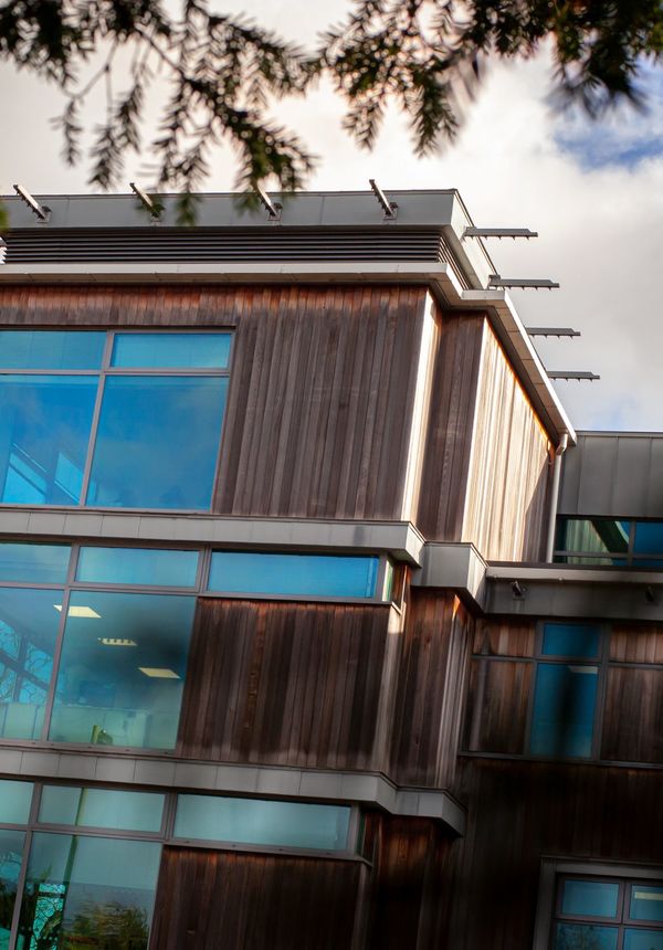 The Connexus head office shown through some trees