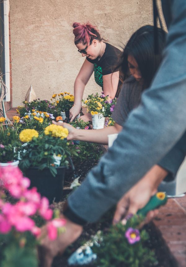 Gardeners working together on a flower bed