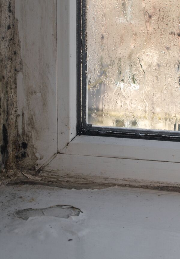 A damp and mouldy windowsill