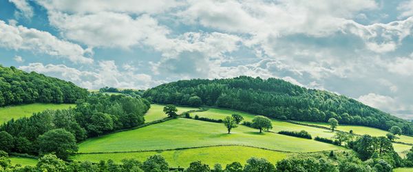 Countryside with rolling wooded hills and a dappled cloudy sky