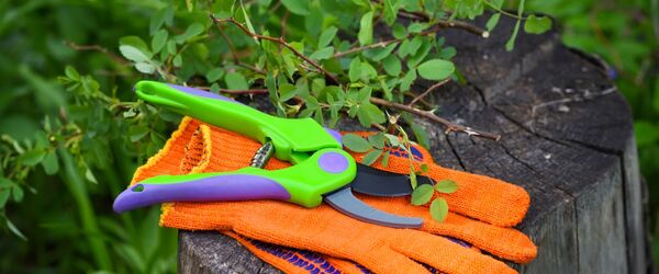 Gardening gloves