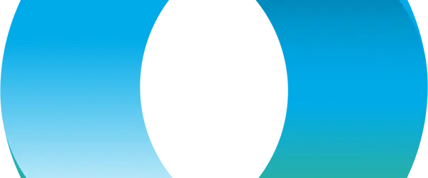 Connexus circle logo