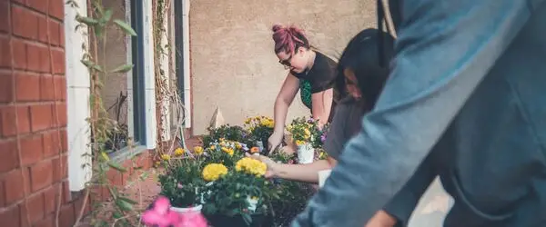 Gardeners working together on a flower bed