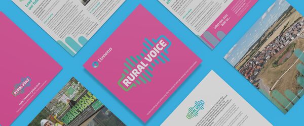 Rural Voice pages