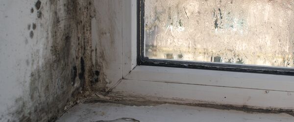 A damp and mouldy windowsill