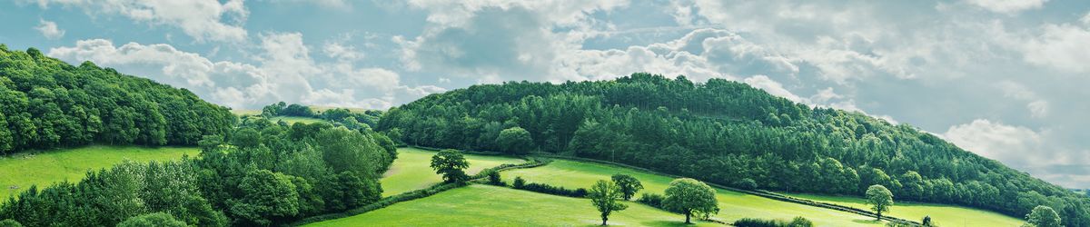 Countryside with rolling wooded hills and a dappled cloudy sky