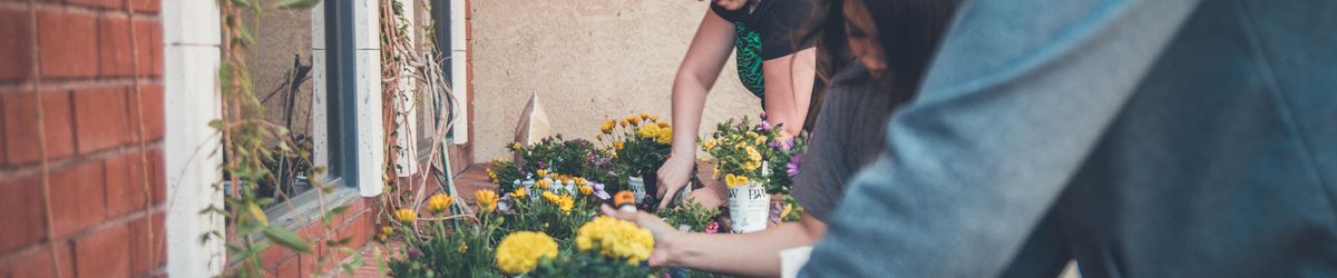 Gardeners working together on a flower bed