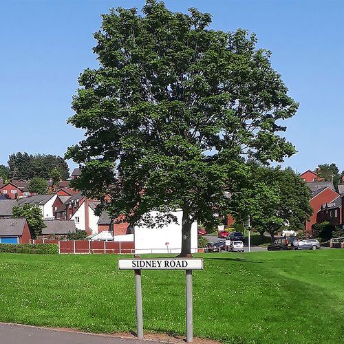 Sidney Road green